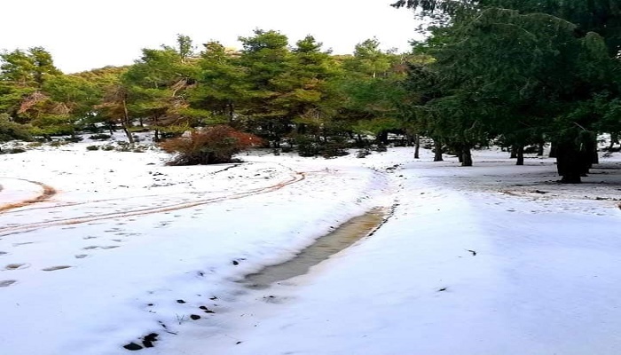 صور: الثلوج تكسو عين ألمو插图2