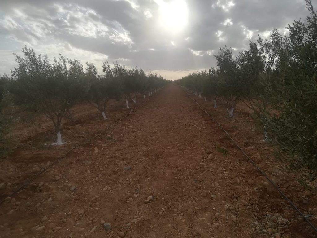 ملفات ثقيلة على طاولة “عاطف” وأخنوش مطالب التدخل المستعجل插图2 ملفات ثقيلة على طاولة “عاطف” وأخنوش مطالب التدخل المستعجل插图2